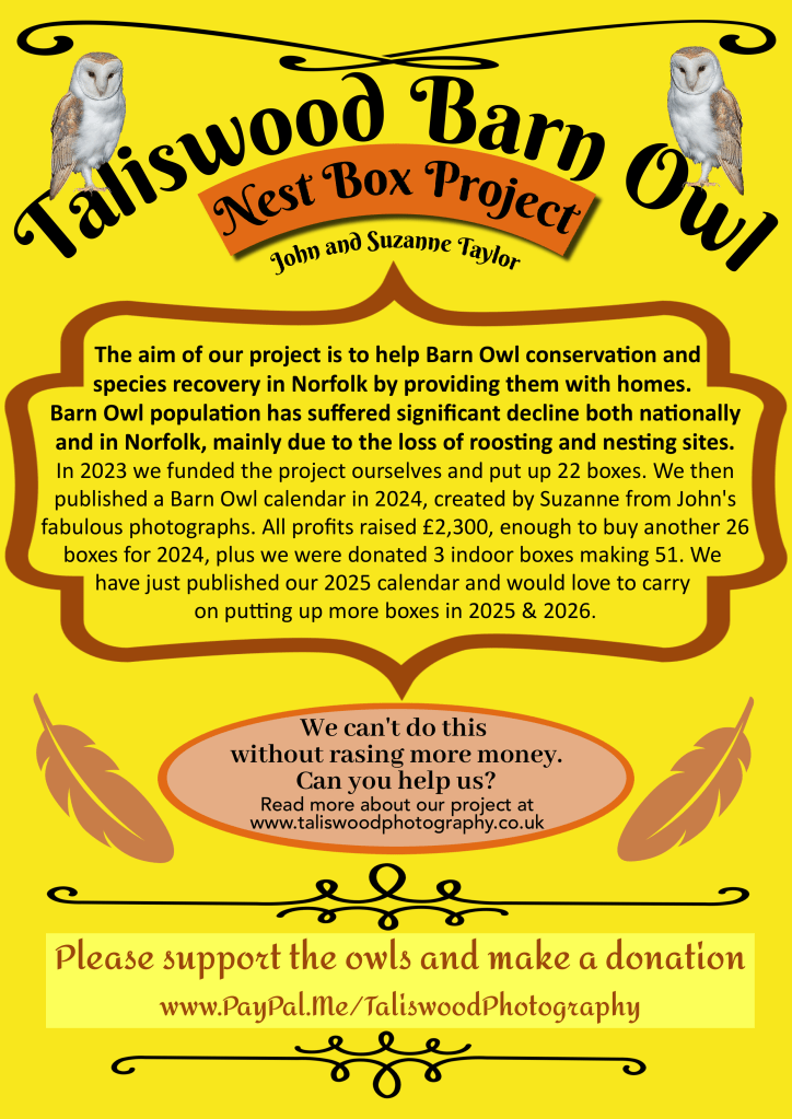 Help us put up more Barn Owl nest boxes by making a donation or providing funding to our Taliswood Barn Owl Nest Box project.
